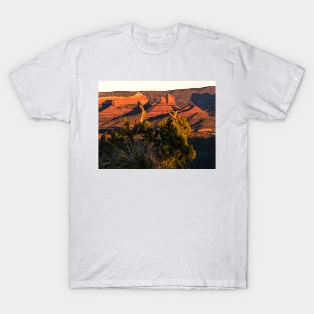 Sedona T-Shirt by MCHerdering